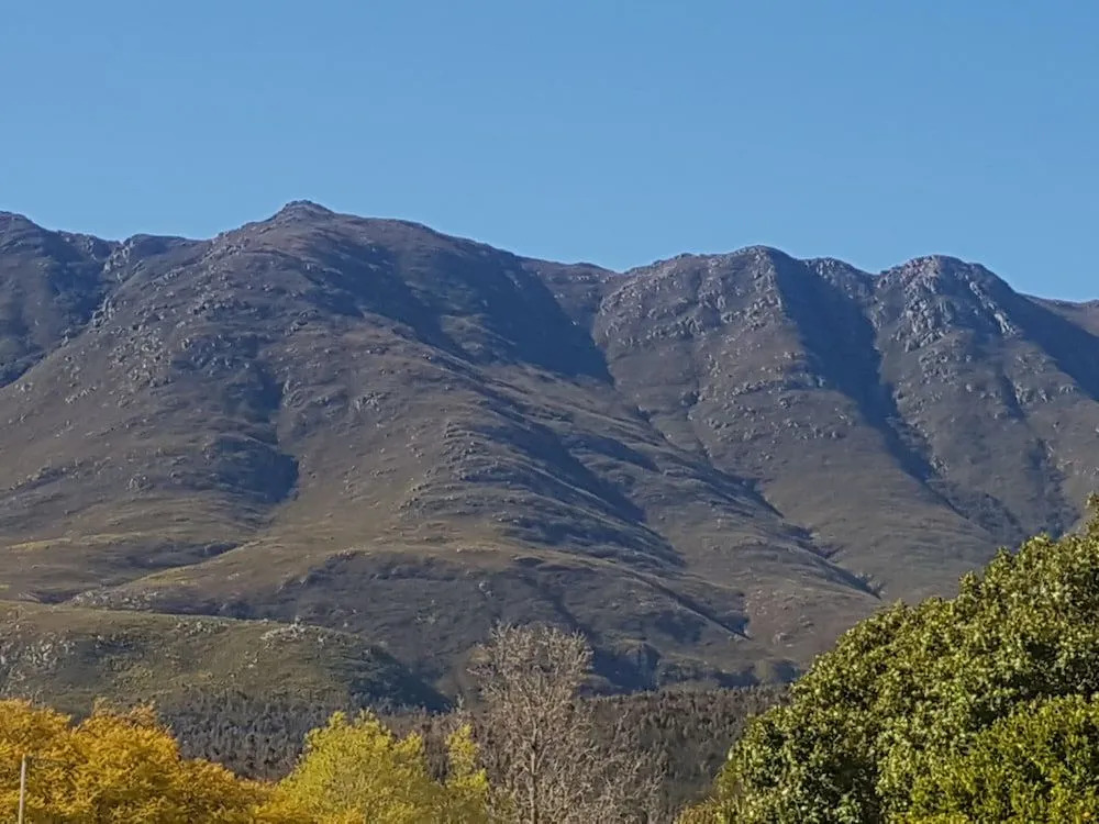 The View Swellendam B&B