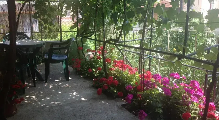 Apartments Pula