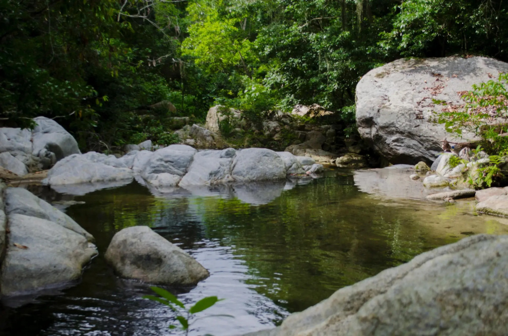 Tayrona Paradise