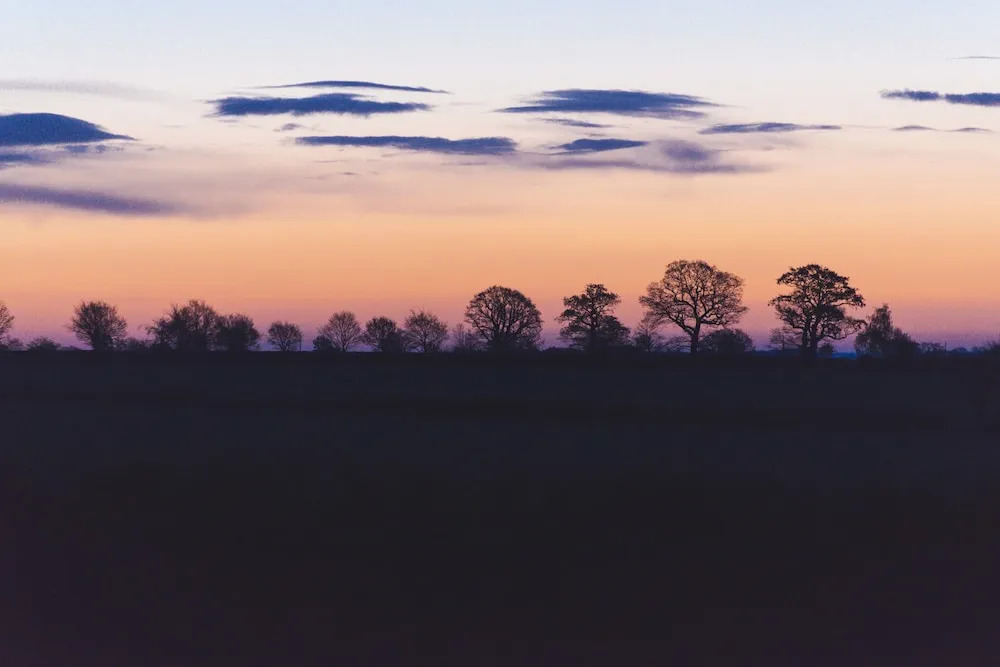 The Haughmond