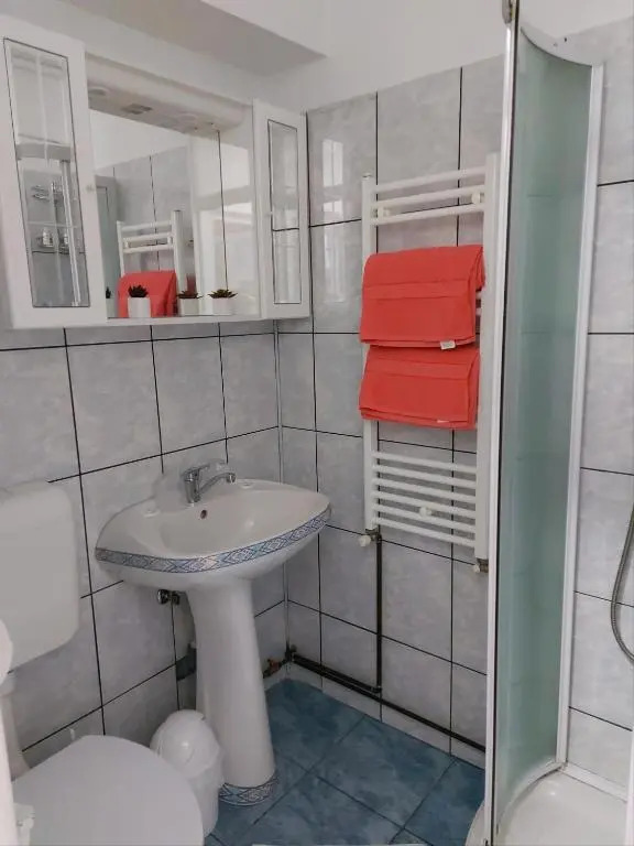Apartament Cozy complex studentesc