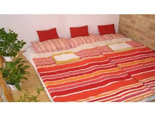 Colored Apartment