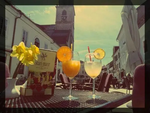 Guesthouse Stari Mayr