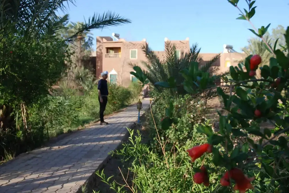 Paradise in the southern desert Morocco