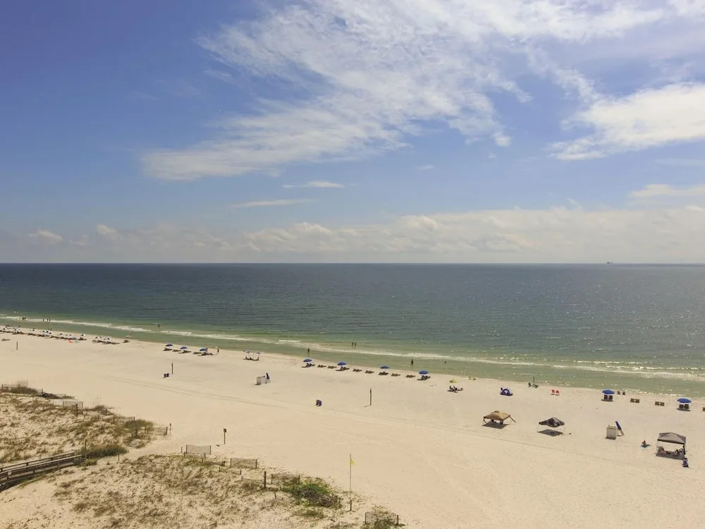 Boardwalk 485
