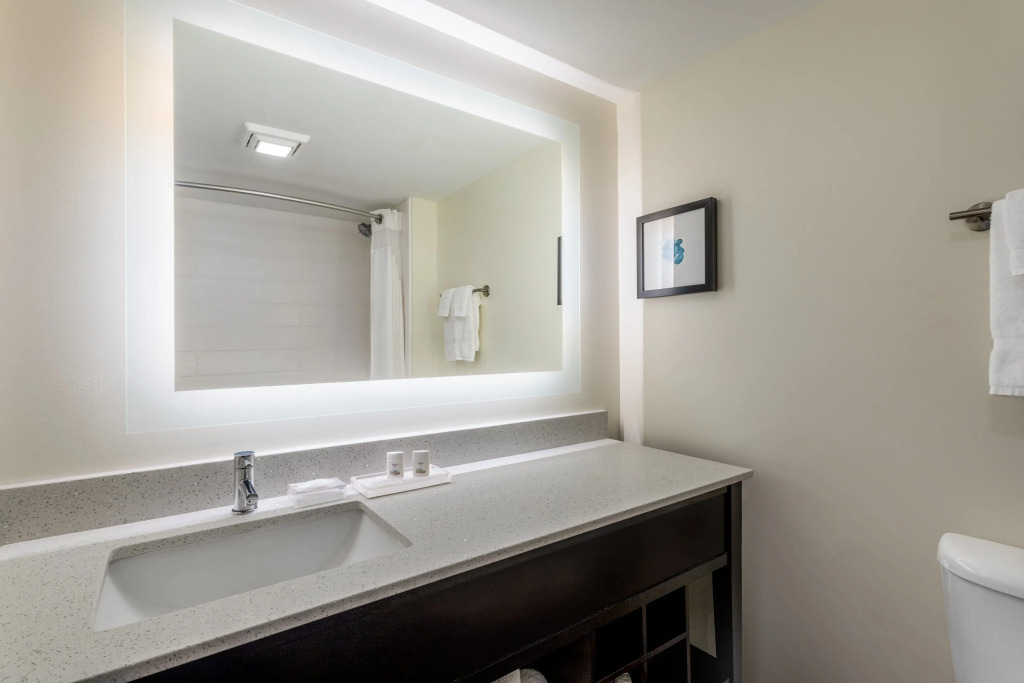 Holiday Inn - Tampa North by IHG
