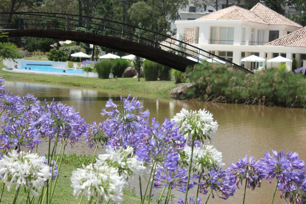 Green Park, Solanas