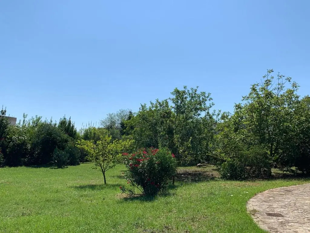 Villa Olivia