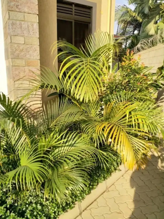 Caran Apartments