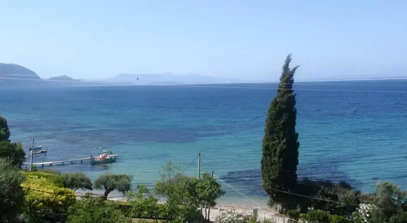 Aliki Studios
