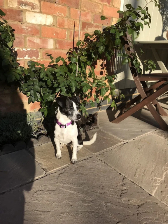 The Rear of the Plough,Everdon