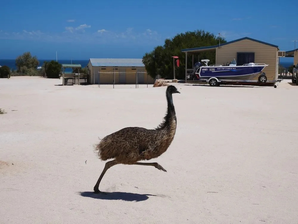 Tasman Holiday Parks - Denham Seaside