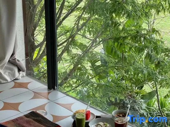 Shanyu.Valley B&B (Zhangjiajie Forest Park Branch)