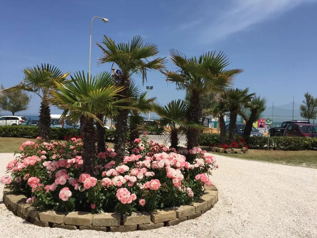 Hotel Tritone