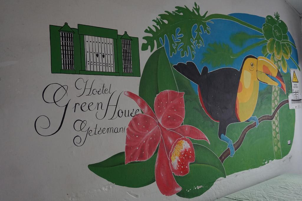 Hostel Green House Getsemani