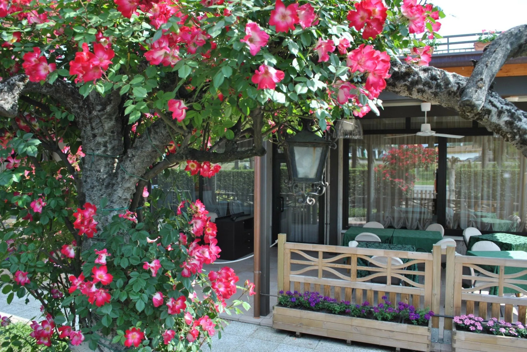 Hotel Bel Sito Peschiera - Be Happy Hotels