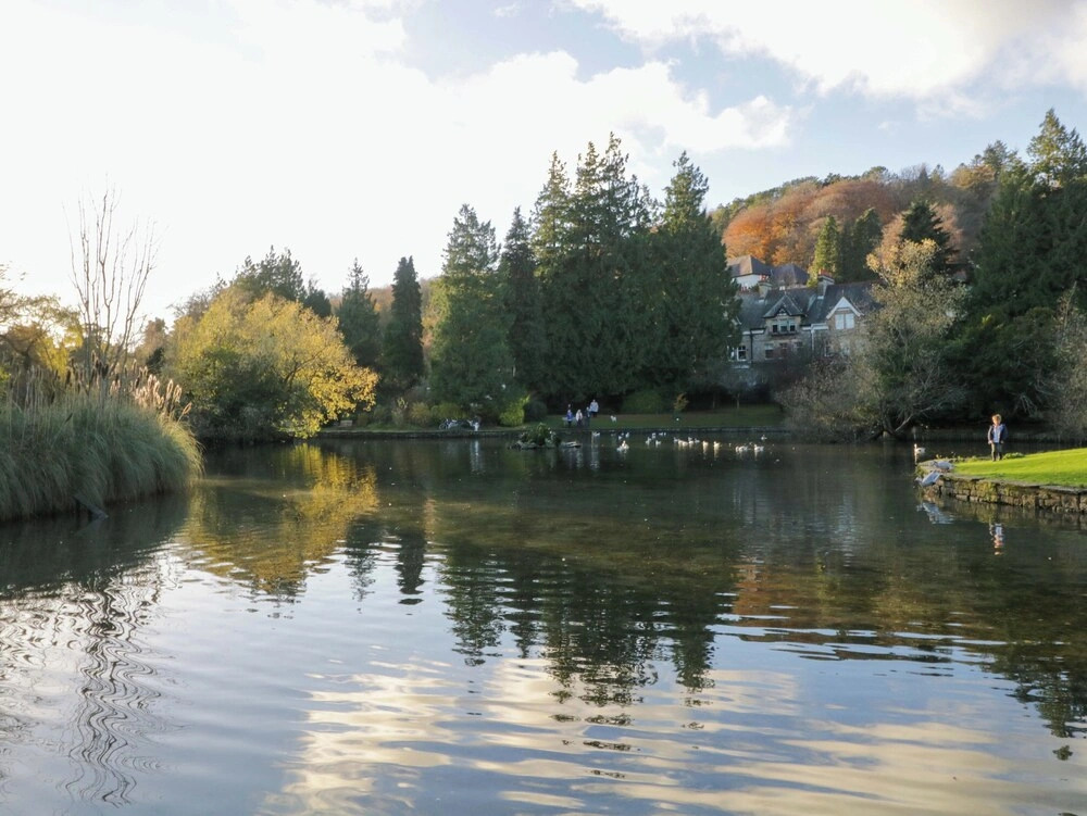 Elderflower Lodge