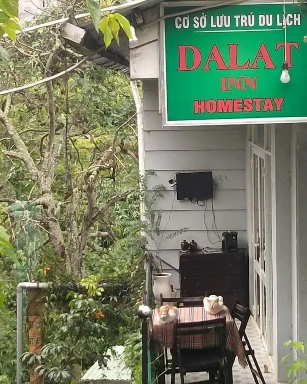 An An House - Homestay Da Lat