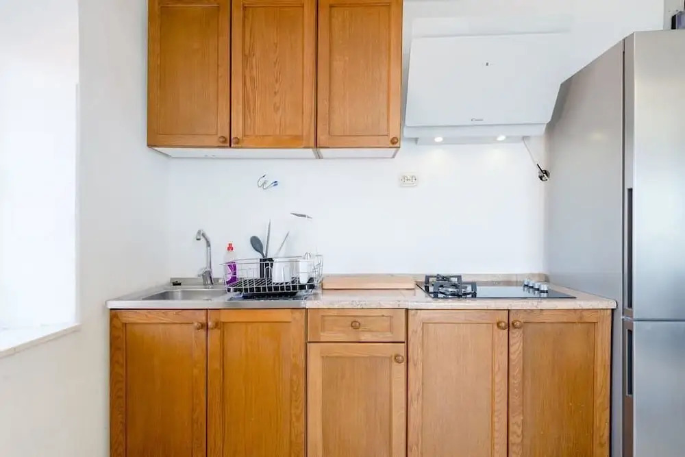 Luxury Apartment Ladovina