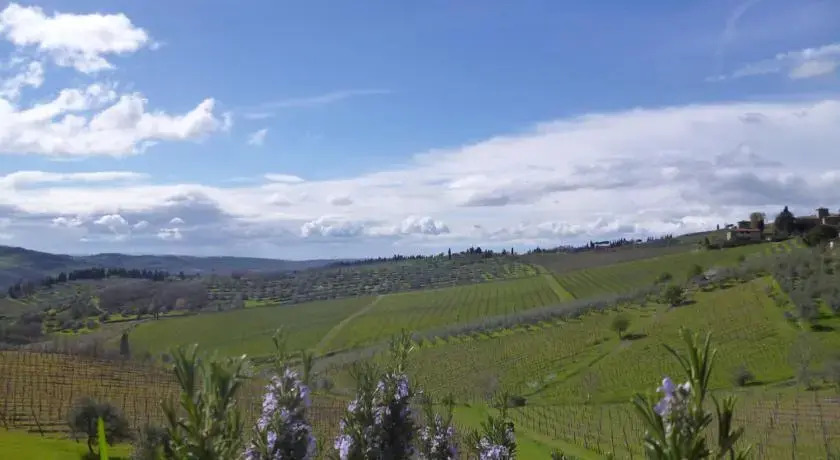 Immersi nella campagna Toscana
