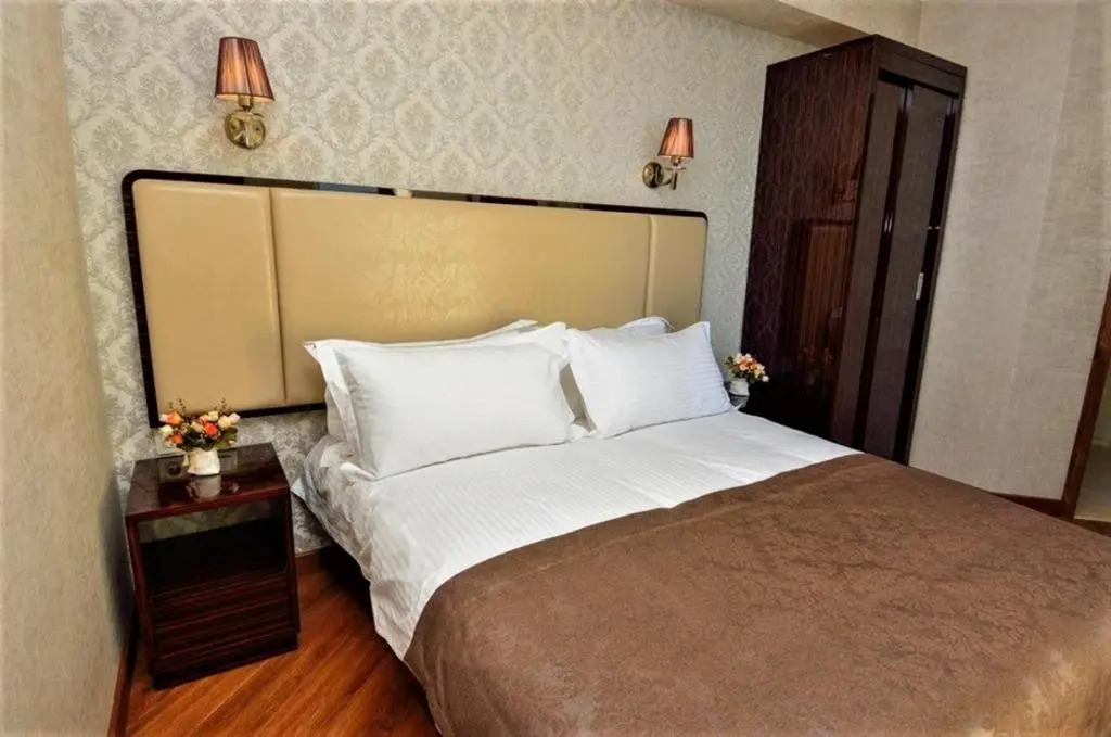 Hotel King David Bakuriani Mountain View