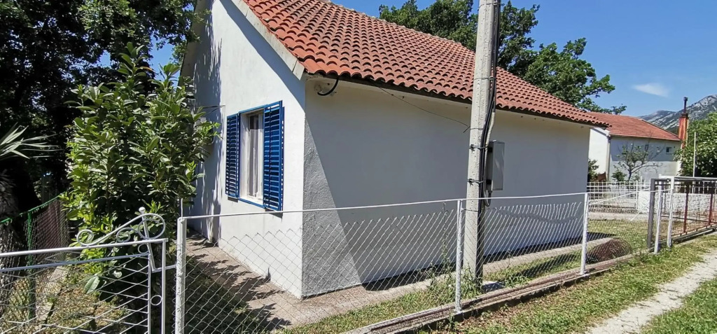 Forest house