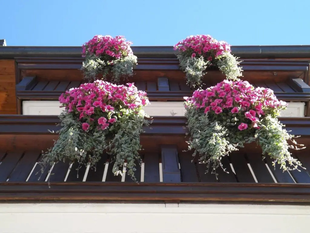 Hotel Irma