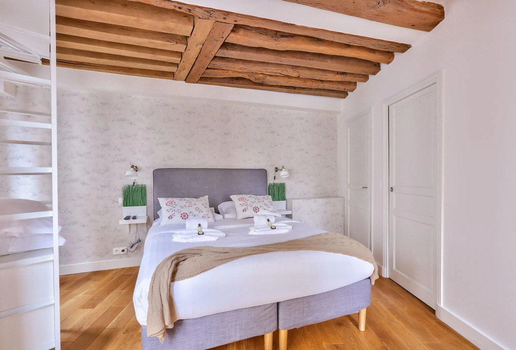 B 364 - Deluxe apartment in the heart of  Notre Dame