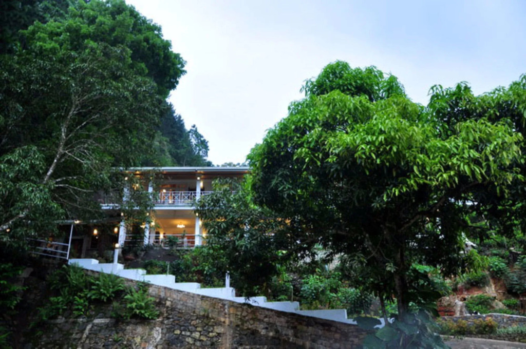 Forest Edge Resort
