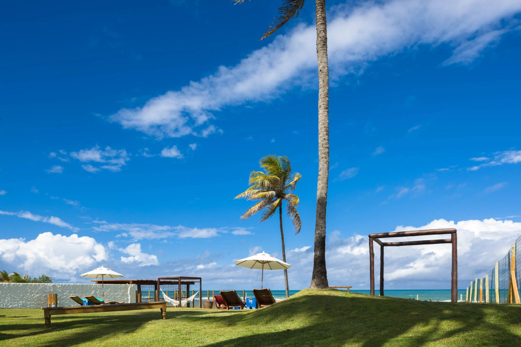 Tree Bies Resort - Oficial
