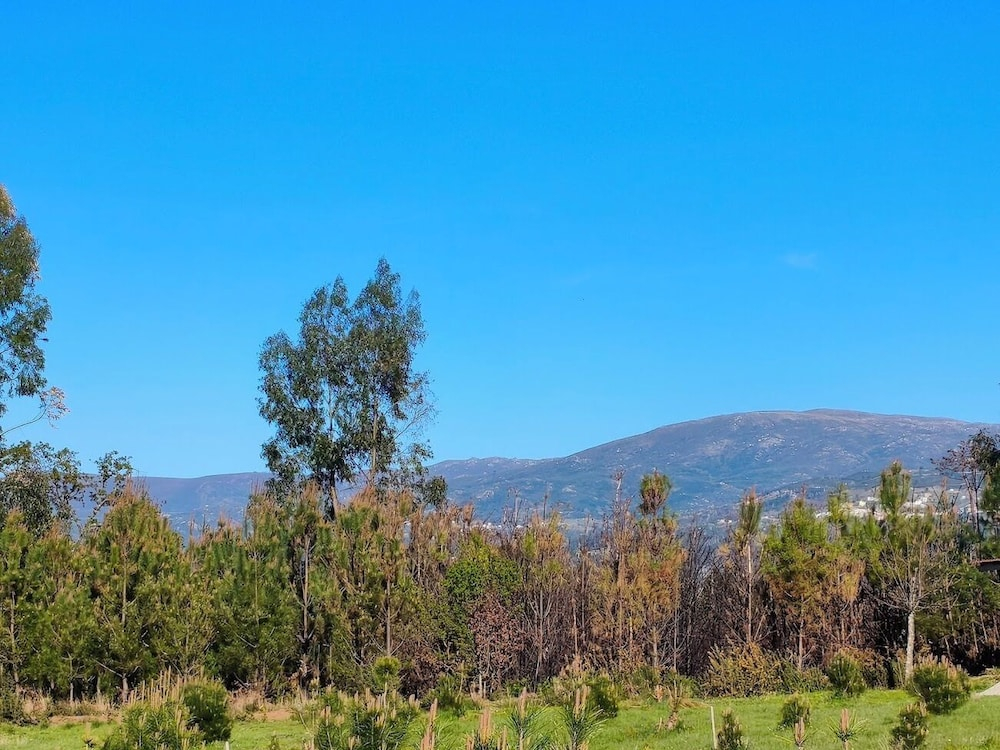 Eco-Bungalow Vista Serra da Estrela