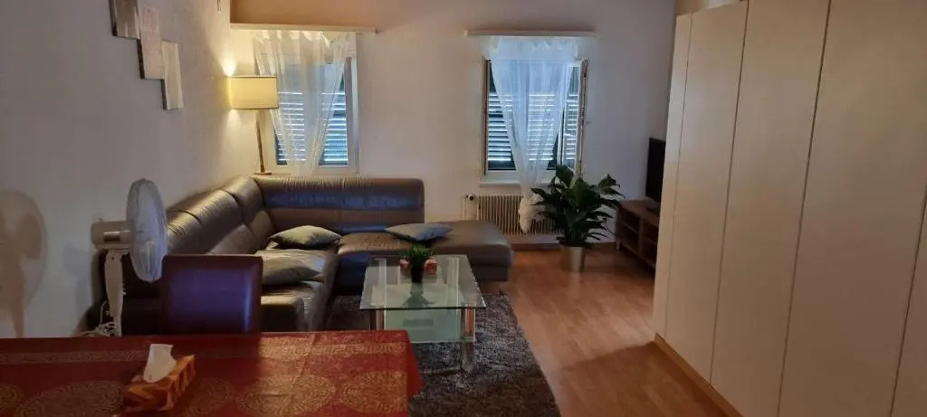 Apartment - Bern City