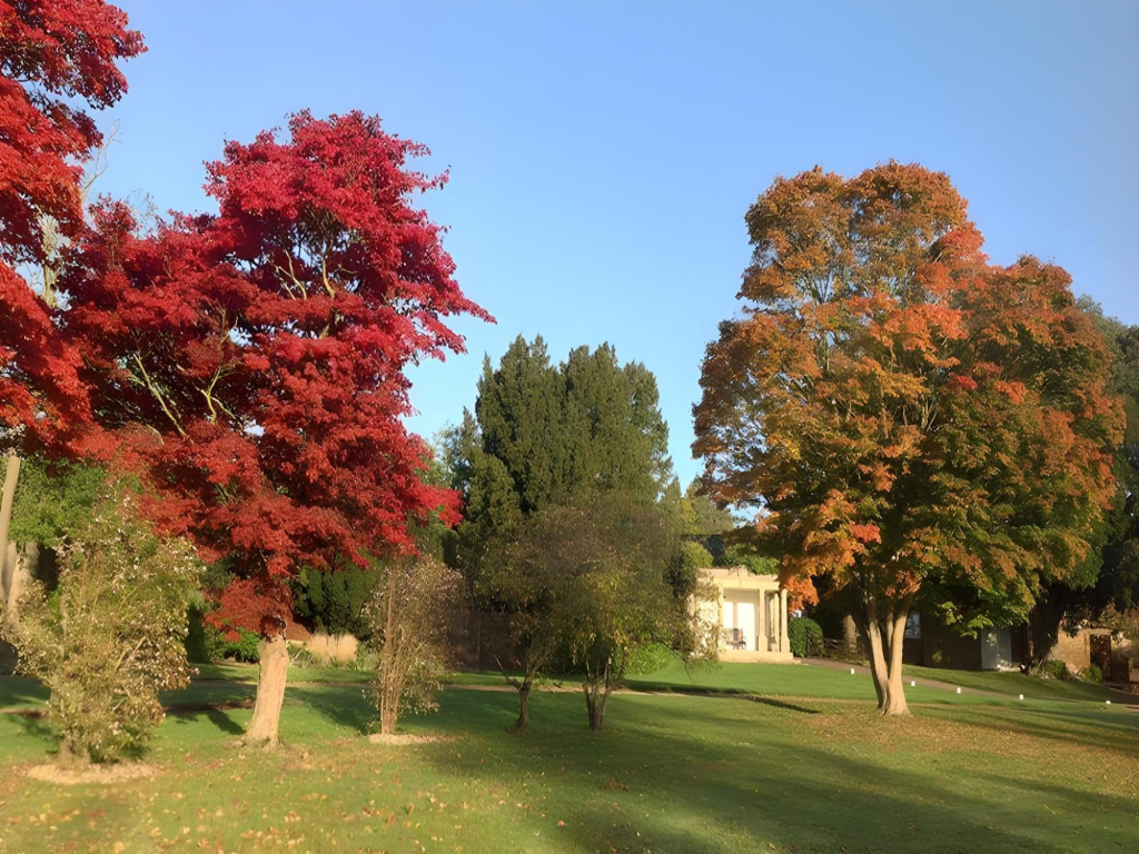 Highfield Park
