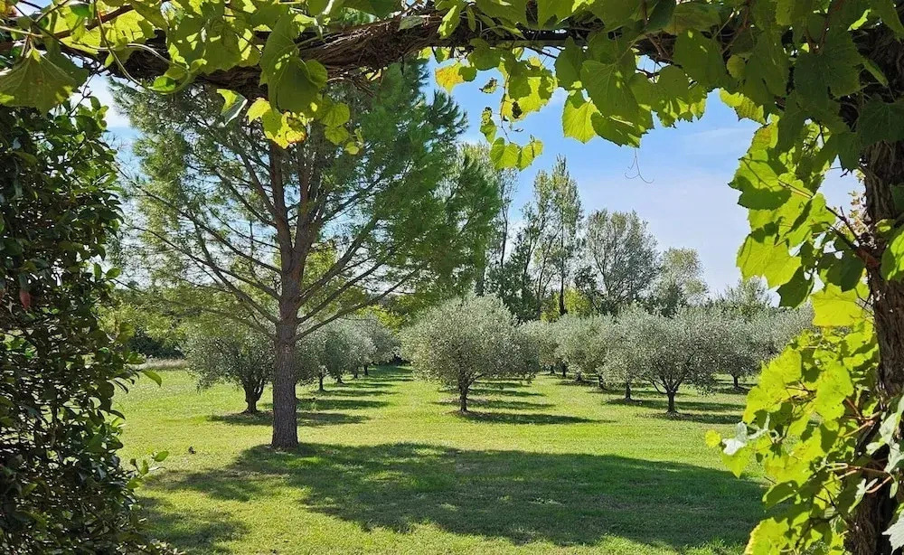 Maison dhôtes La Ramade, 5 chambres et table dhôtes en Provence