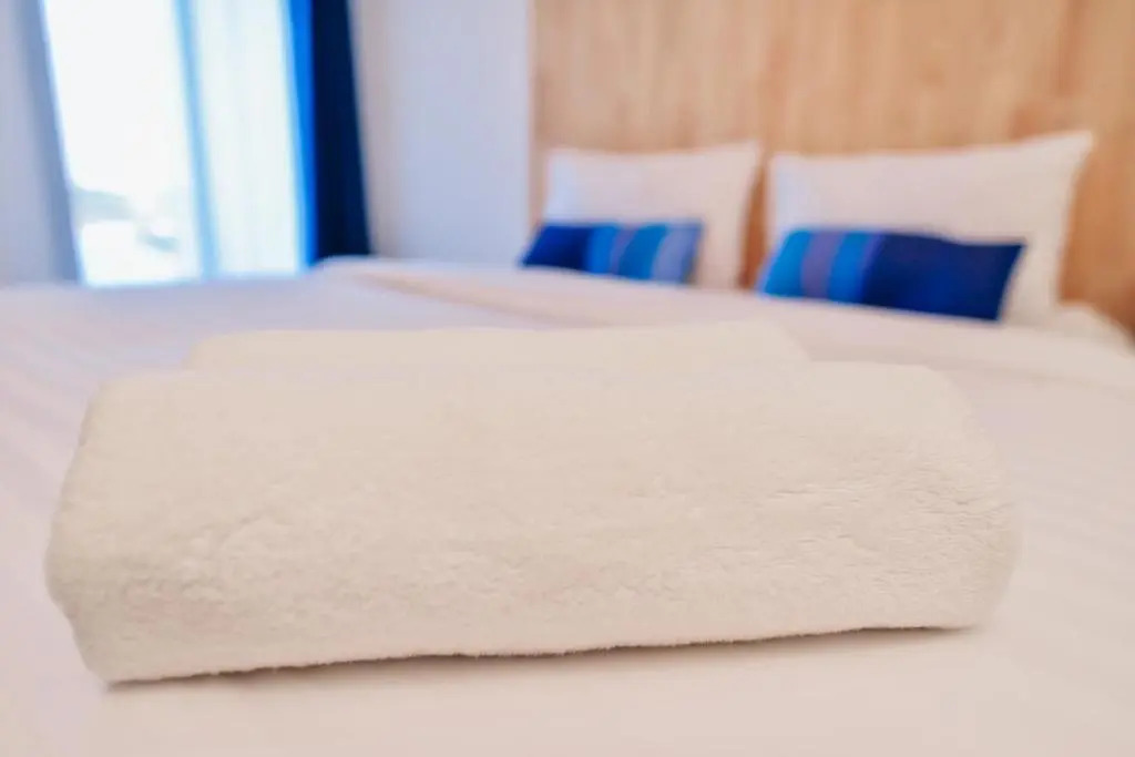 The Cozy Hotel