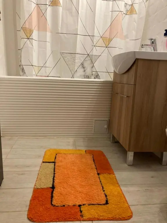 Olivia`s Studio - apartment Iasi
