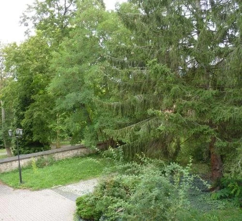 Eventlocation Mieten und Übernachten im Schloss nähe 07407 Rudolstadt