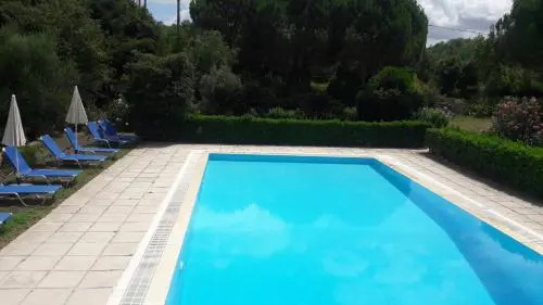 Lemontree Apartments
