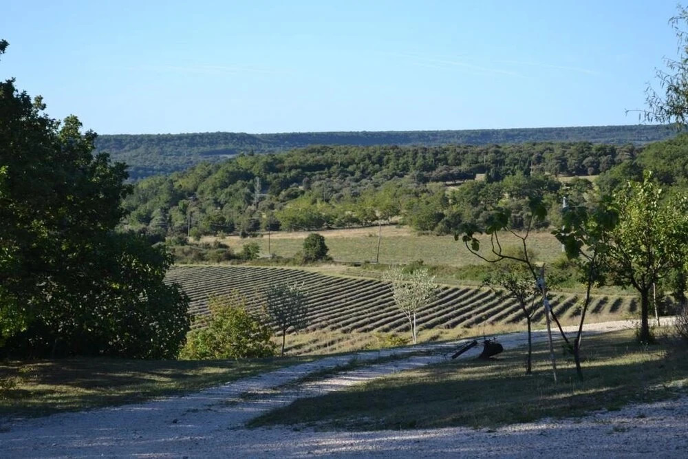 Mas de Pantaï - Cottage La Fourche