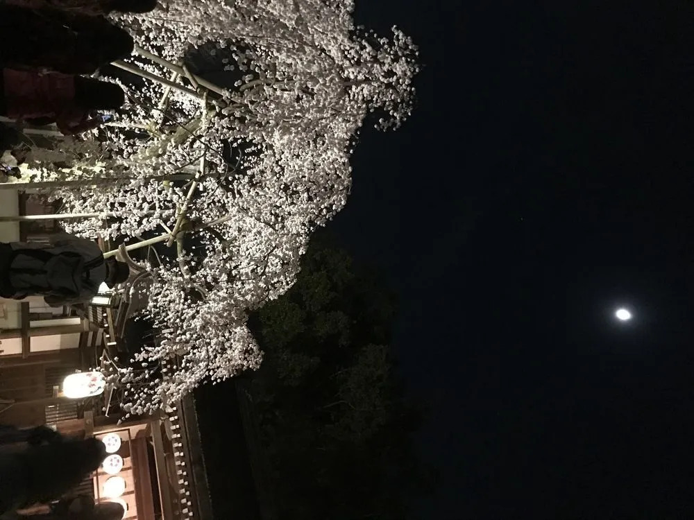Guesthouse OTO - Hostel
