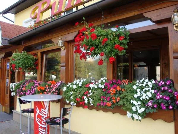Hotel Puntar