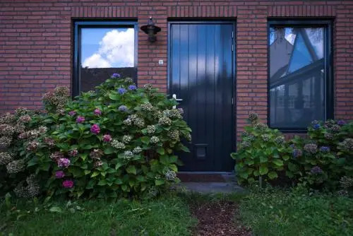 Het Groene Bed