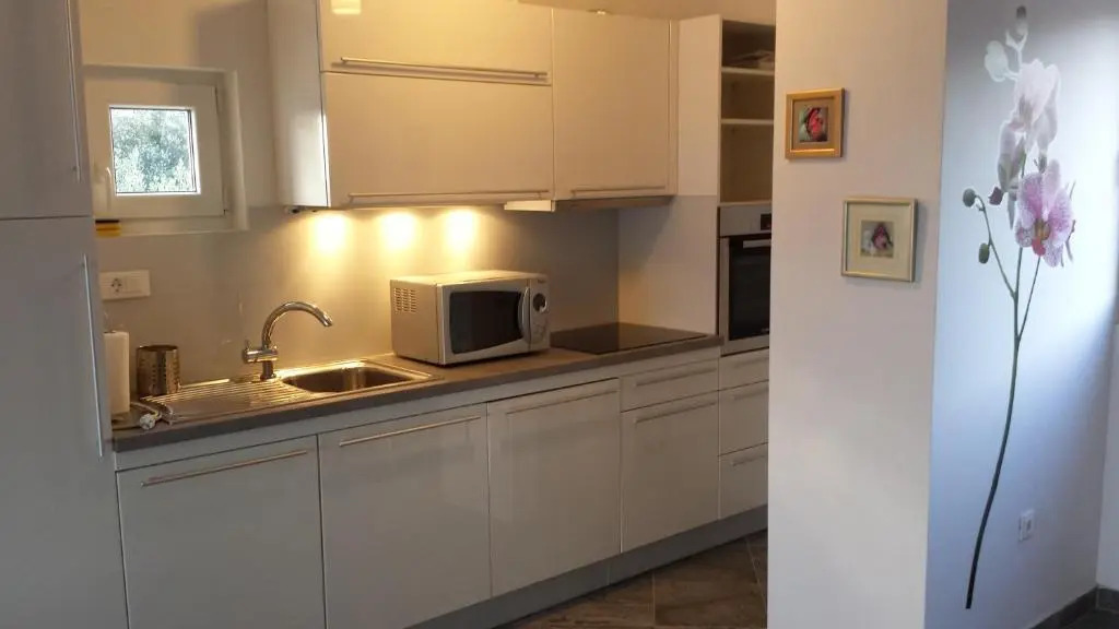 Apartment Ika