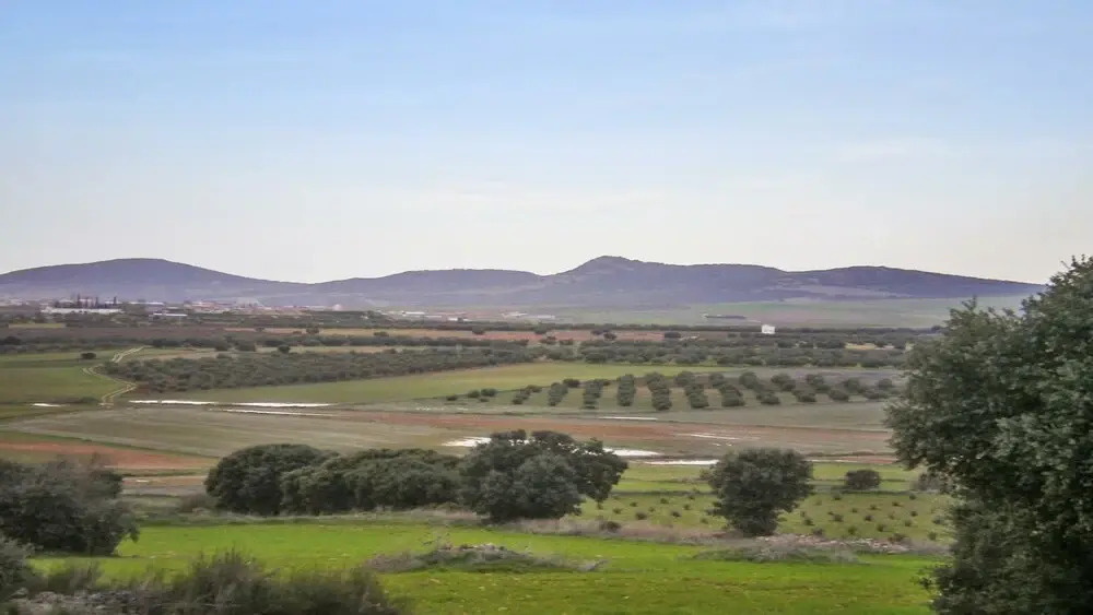 Casa Rural Alonso Quijano El Bueno