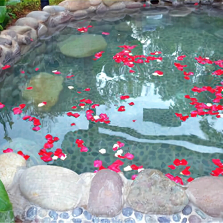 Wanfu Spa Holiday Hotel