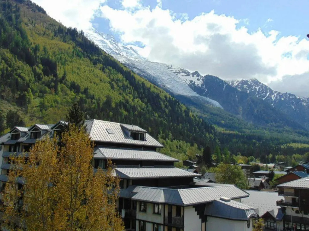 Appartement Chamonix-Mont-Blanc, 2 pièces, 4 personnes - FR-1-517-18