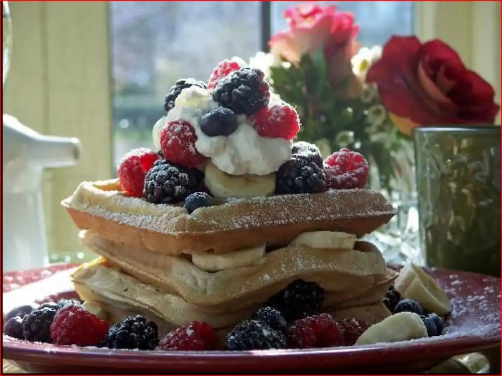Vintage Gardens Bed & Breakfast