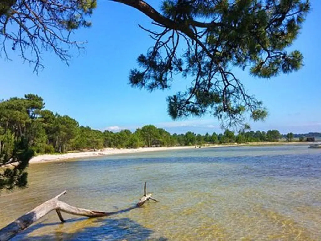 Maison Calme avec Jardin, Proche Lac et Centre, Animaux Bienvenus, Ménage Inclus - FR-1-319-408