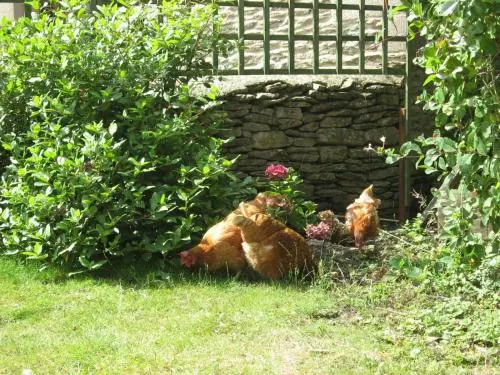Rose Cottage