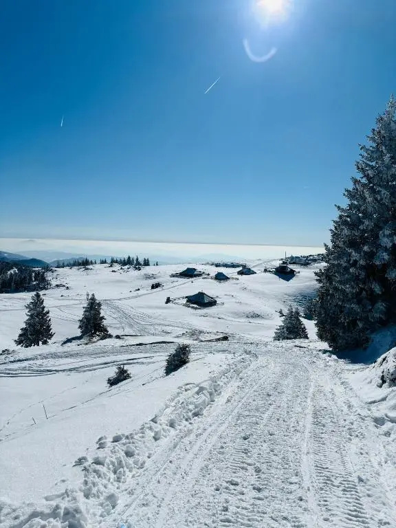 Domzalski Dom Na Mali Planini